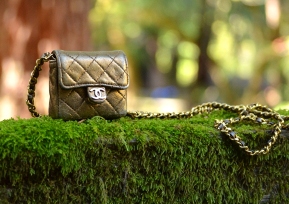 Lollipuff — Co-Founder, CTO and Board Member